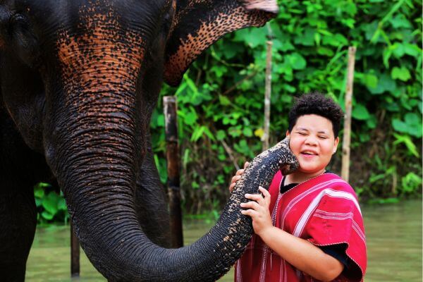 Small group elephant experience