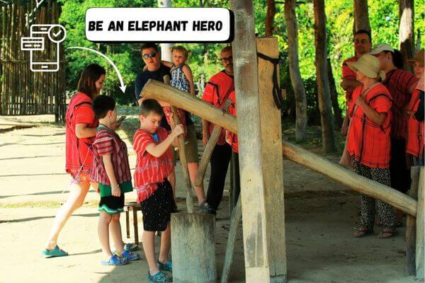 Gamified learning app for elephant conservation
