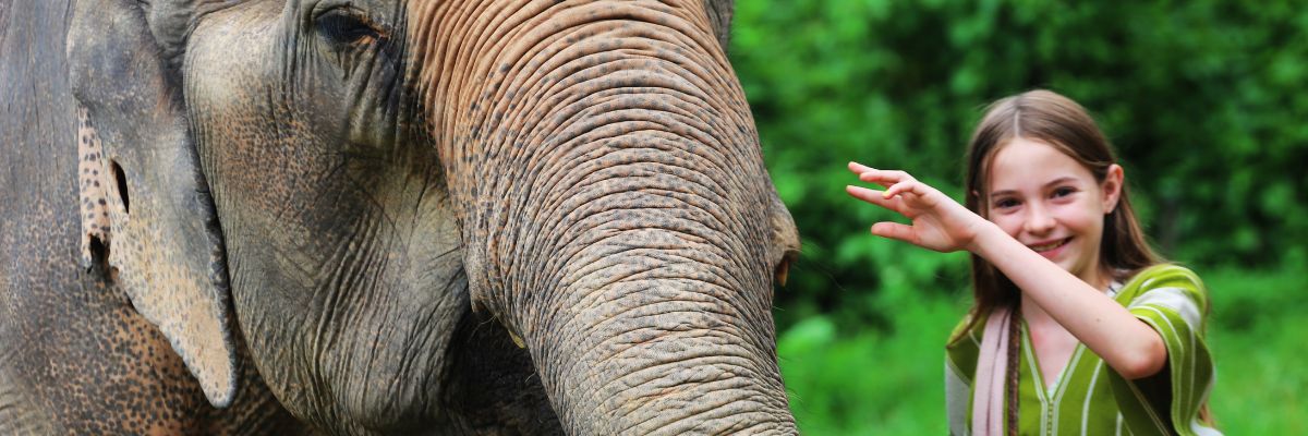 Kids enjoying ethical elephant experience at Elephant Kids Camp